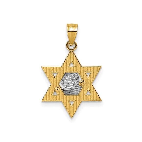 14K Yellow Gold Textured Dove On Star Of David Pendant (NO CHAIN)